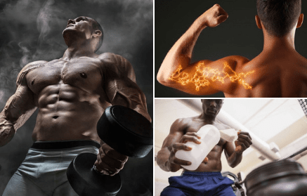 Beta alanine and its use in sports