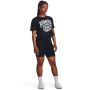 Women‘s Collegiate Crest Crop Top SS Grey - Under Armour